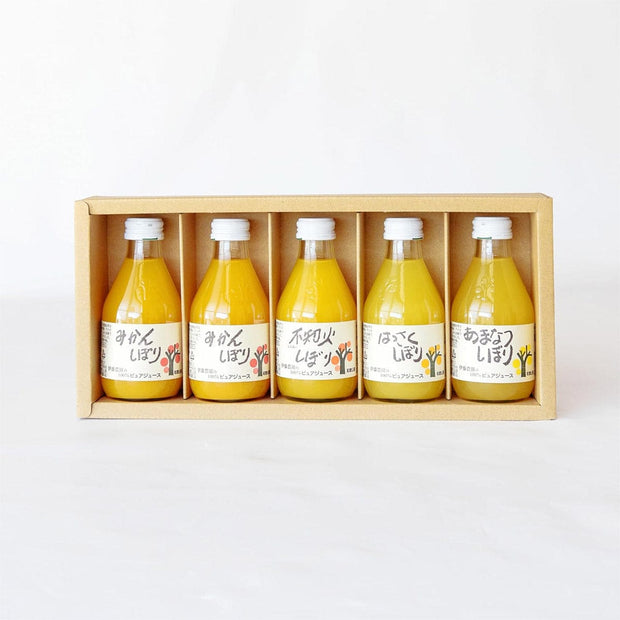 Ito Noen Wakayama Orange Juice Set of 5