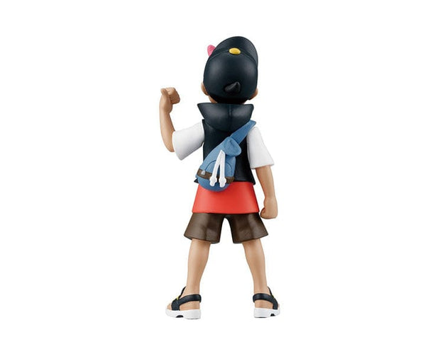 Pokemon Monster Collection Trainer: Roy