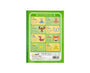 Pokemon BUG OUT! Japonica Study Book thumbnail 3