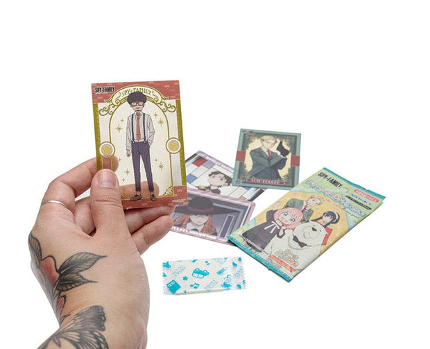 Sugoi Mart Spy ÌÑ Family Lucky Bag