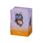 Godiva Black Cat Collection Pumpkin Cookies thumbnail 1
