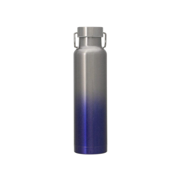 Starbucks Japan 2024 Handle Lid Bottle Gradient