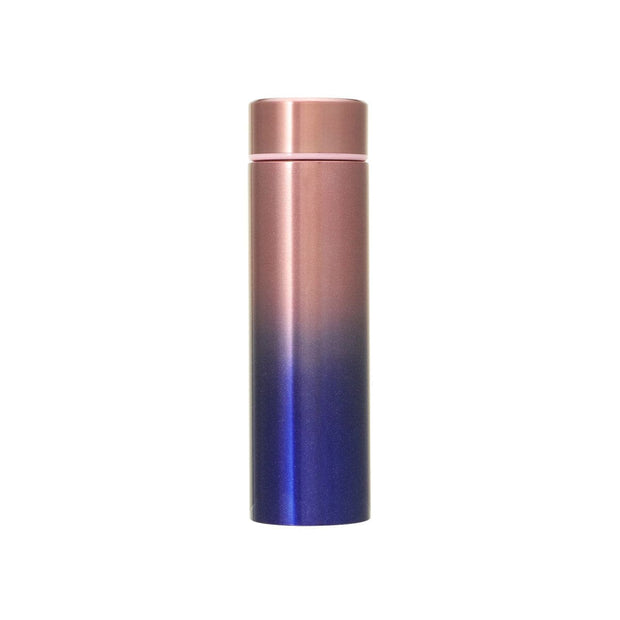 Starbucks Japan 2024 Stainless Steel Bottle Gradient
