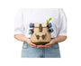 Legend of Zelda: Tears of the Kingdom Traveling Korok Mini Pouch thumbnail 2
