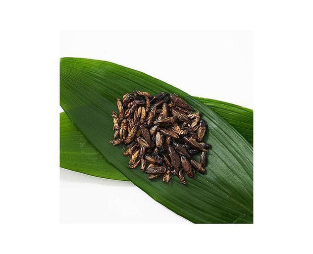 Takeo Cricket Mix Snack Food and Drink Sugoi Mart