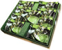 Osaka Matcha Baumkuchen (9 pieces) Candy &amp; Snacks Sugoi Mart thumbnail 2