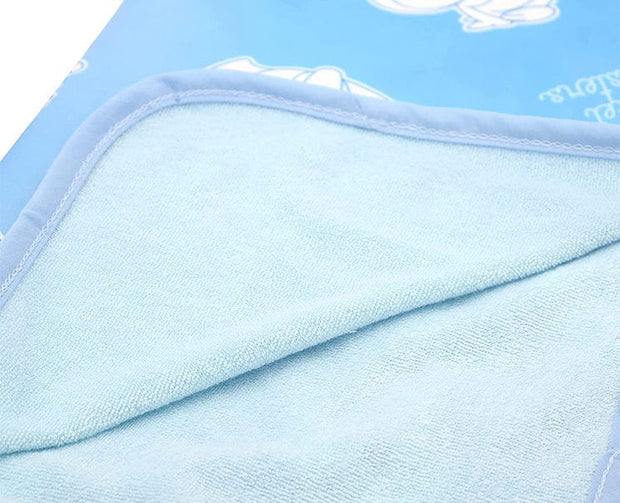 Pokemon Characters Cooling Mini Blanket Anime & Brands Sugoi Mart